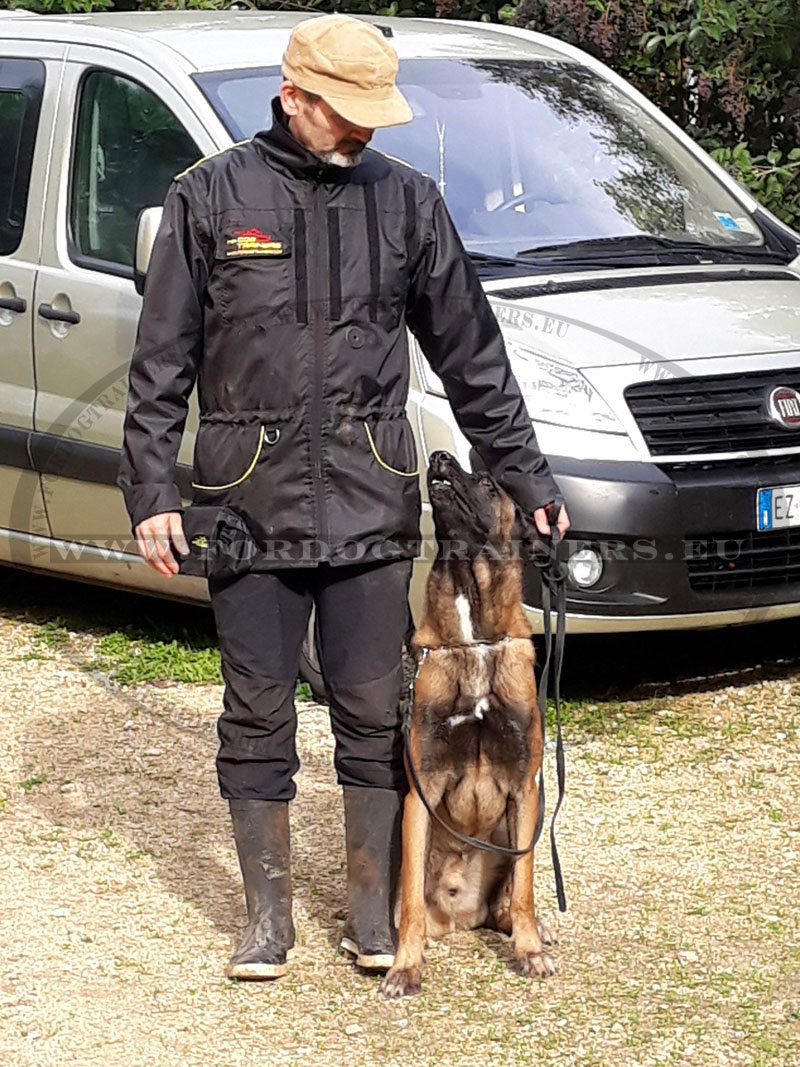 Veste conducteur canin pas cher outlet
