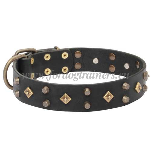 Studded Black Collar for Big Dog