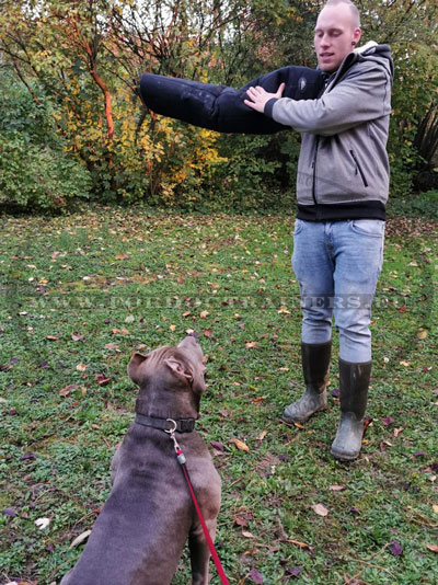 Dog Bite Sleeve Training Protection for Professionals