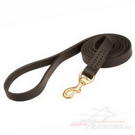 Leather Dog
            Lead