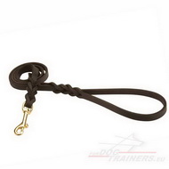 Leash Made of Leather for Dog