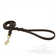 Laisse en cuir pour chien