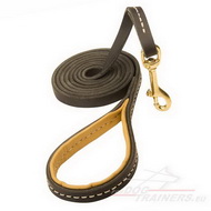 Elegant Leather Dog Lead Luxurious Leather
Dog Leash