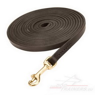 Leather Dog
Leash for Work on Distance