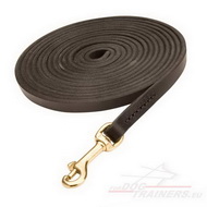 Professional Long Dog
Leash Leather Dog
Leash for Work on Distance
