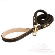 Braided Dog
Leash