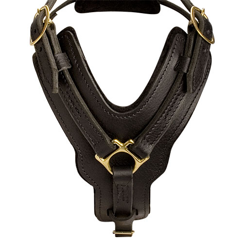 handmade leather dog harness