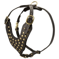 Studded Walking Dog Leather Harness