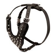 Studded leather dog harness