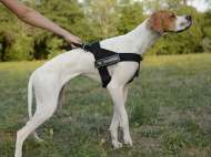 Tracking
          Training Nylon Dog Harness