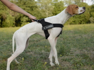 Tracking
          Training Nylon Dog Harness