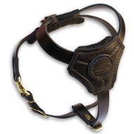 Leather Dog Harness