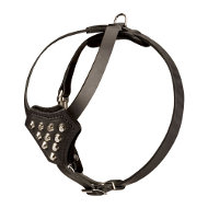 Padded walking dog harness with studs for small breeds