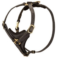 Leather harness for Tracking with Dog Leather Dog Harness
Collaction
