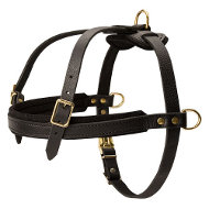 Dog Harness for
Pulling and Tracking