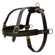 Harnais multifonctionnel en cuir pour chien