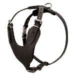 New agitation leather dog harness