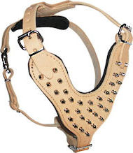 Dog
Harness Decorated Tan Color