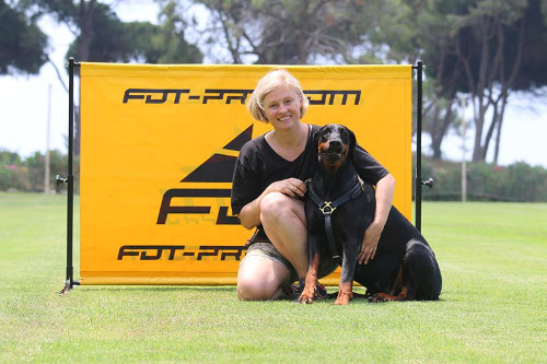 Sautoir d'obissance pour chien