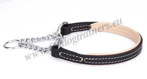 Best Half Check Dog Collar with Chain