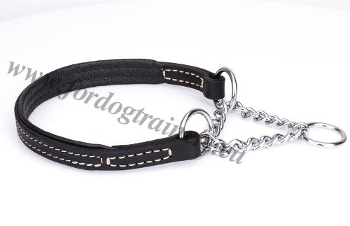 Half Check Martingale Dog Collar with O-rings