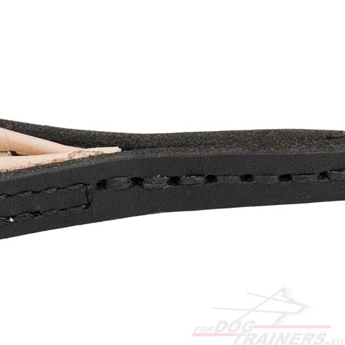 Supreme Quality Stitched Dog Lead