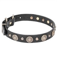 Fijne Lederen Honden Halsband 30 mm met Koper Onderdelen