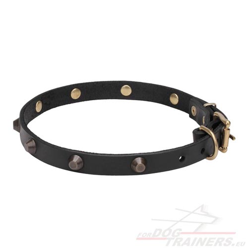 Studded Leather Collar with Truncated Cones