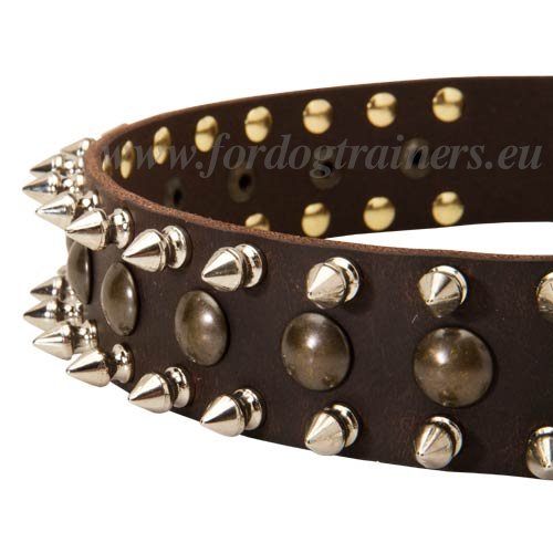 Spiked Leather Dog Collar