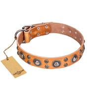 Collier
en cuir beige Extra Sparkle FDT Artisan pour chien