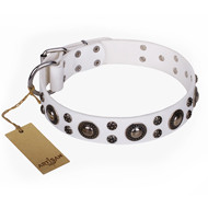 White Dog Collar with Round
Studs White
Studded Leather Collar