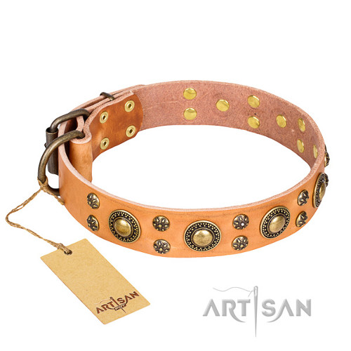 Tan
Leather Dog Collar with Brass Plated Decoration