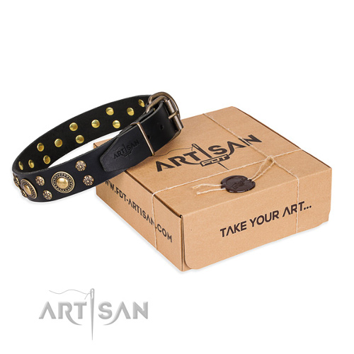 Designer Pet Collars Black Leather with Studs