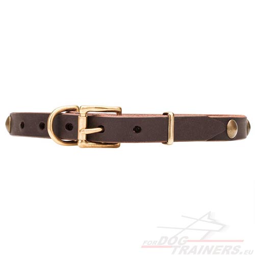 Dog Collar Brass Hardware and Genuine Leather