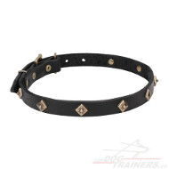 Leather Canine Collar with Decorative Brass Rhombs◈
