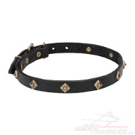 Collare con borchie in ottone per cane Collare con borchie in ottone per cane