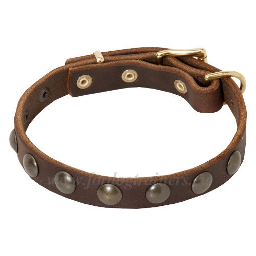 Custom Made Dog Collar with Riveted Studs