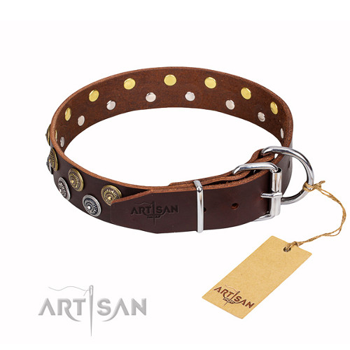 Designer Collars for Dogs