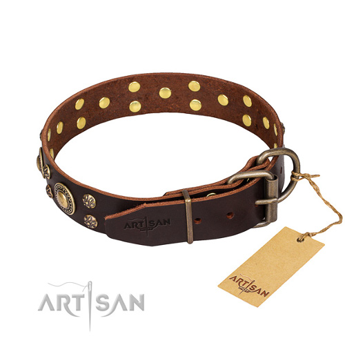 High-quality Leather Dog Collar with Studs