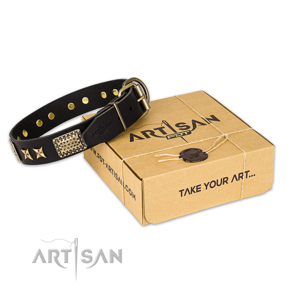 Plated Leather Dog Collar