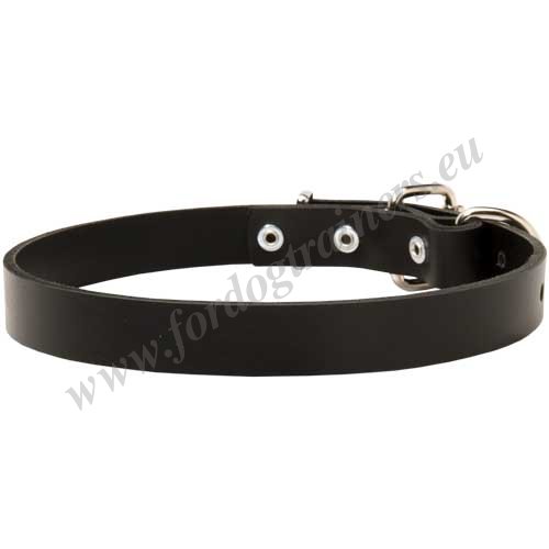 Handmade Leather Dog Collar Narrow