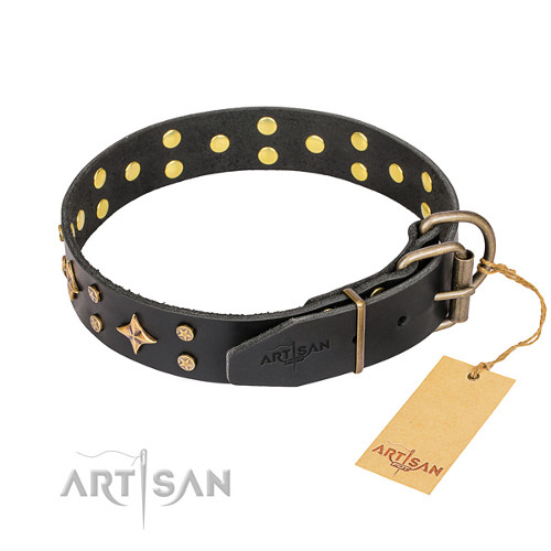 Designer Dog Collar Leather with Studs