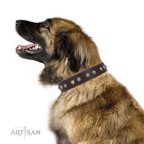 Big Dog Quality Leather Dog Collars