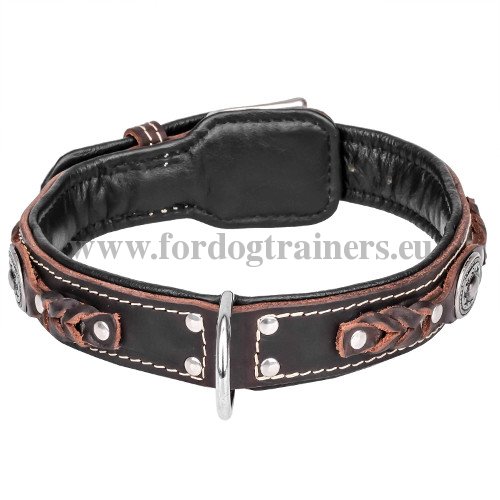 Handmade Dog Collar with Nappa Padding and Chromed
Fittings