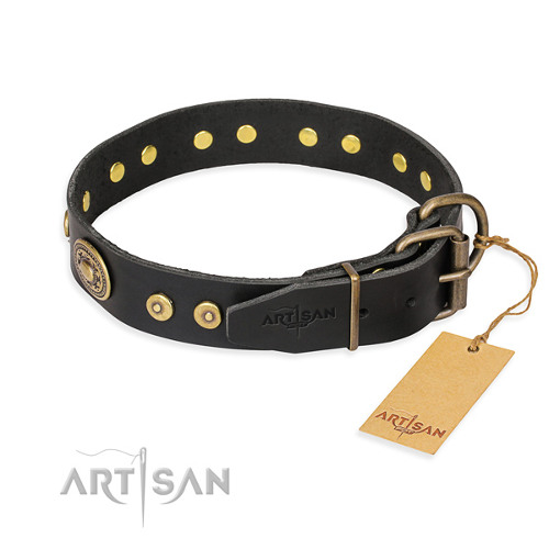 Studded Dog Collars for Large Dogs