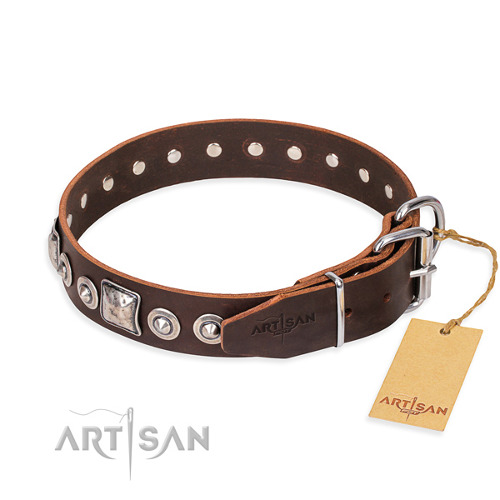 Functional Leather Collar for Dogs