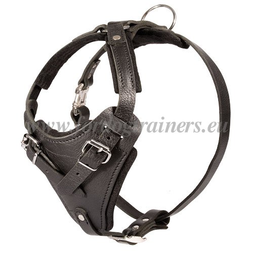 Leather Dog Harness for Olde English Bulldog Handmade