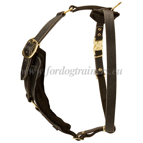 Leather Harness with Padded Chest