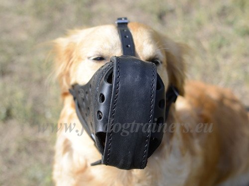 Leather Muzzle Multifunctional for Golden Retriever