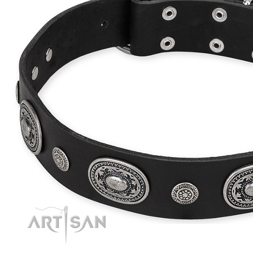 Luxury Leather Dog Collars for Walking